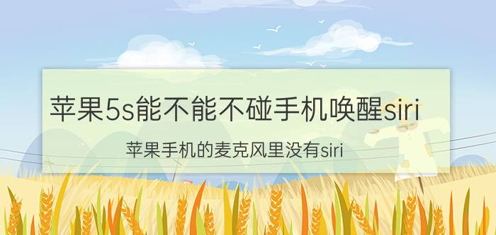 苹果5s能不能不碰手机唤醒siri 苹果手机的麦克风里没有siri？